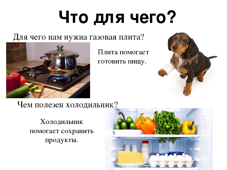 Презентация "Щенок Тяпа в гостях у ребят" знакомство с бытовыми приборами