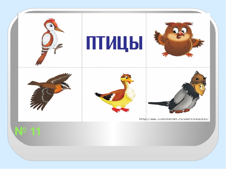 РАЗВИВАЮЩАЯ ИГРА "НАЗОВИ ОДНИМ СЛОВОМ"