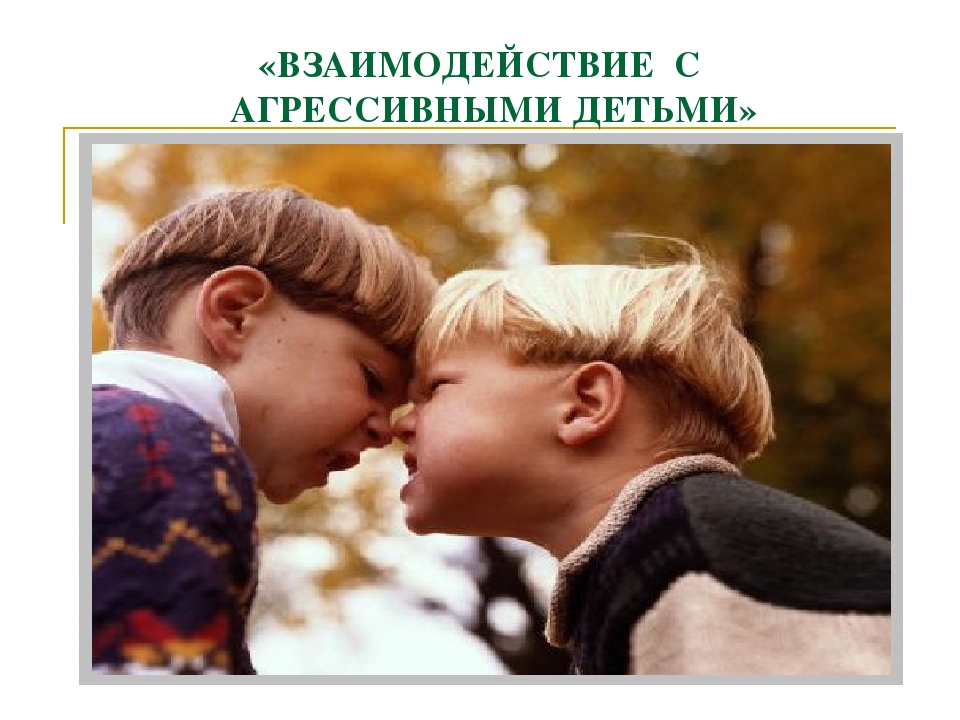 Презентация "Взаимодействие с агрессивными детьми"