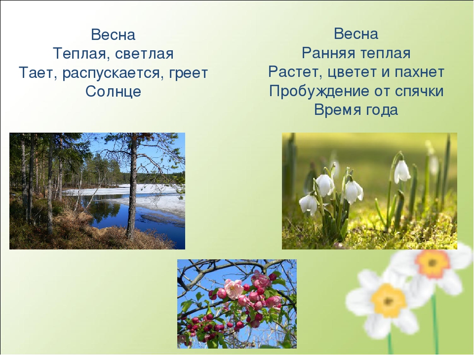 Презентация «Использование современных технологий в развитии связной речи детей дошкольного возраста» (из опыта работы)