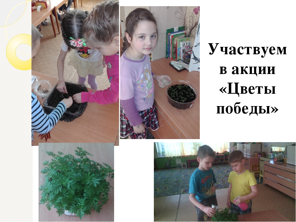 Презентация "Взаимодействие с семьёй как условие успешной социализации дошкольников"