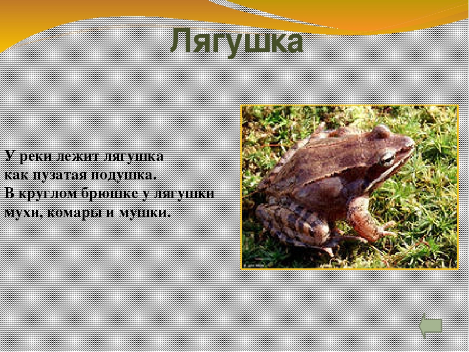 Презентация для детей "Животные леса" с гиперссылками.