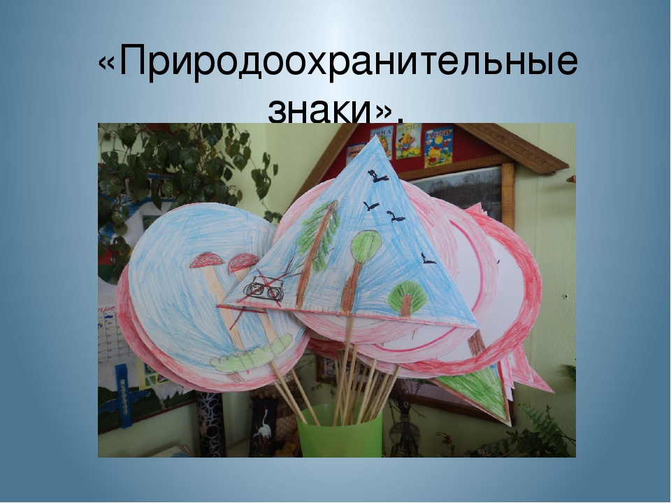 Презентация "Отчёт работы кружка "Истоки".