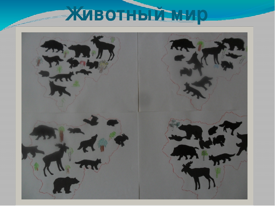 Презентация "Отчёт работы кружка "Истоки".