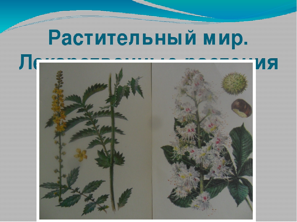 Презентация "Приобщение дошкольников к истории родного края".