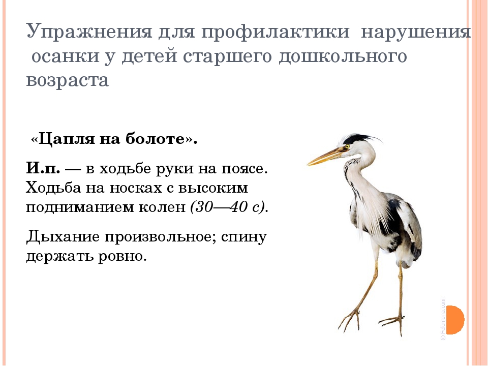 Презентация "Упражнения для профилактики нарушения осанки"