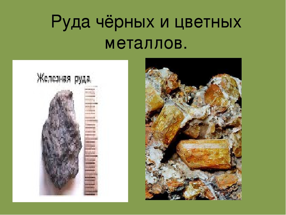 Презентация по окружающему миру для детей старшего дошкольного возраста
