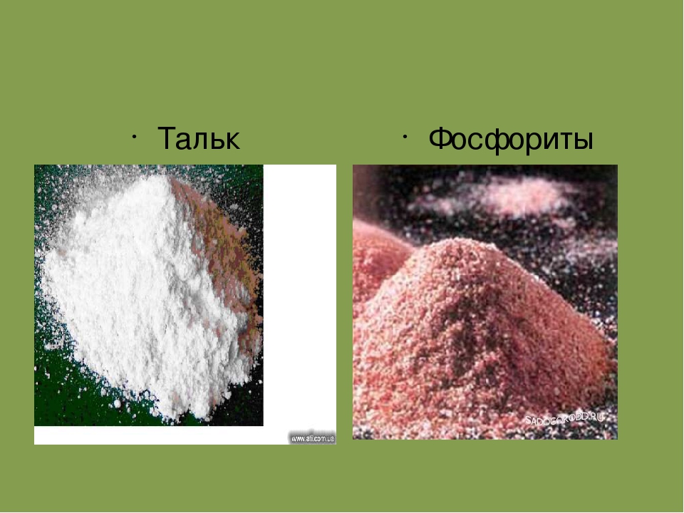 Презентация по окружающему миру для детей старшего дошкольного возраста