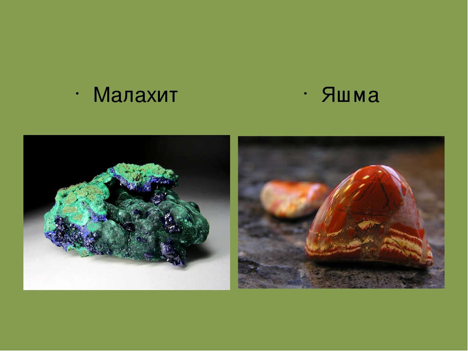 Презентация по окружающему миру для детей старшего дошкольного возраста
