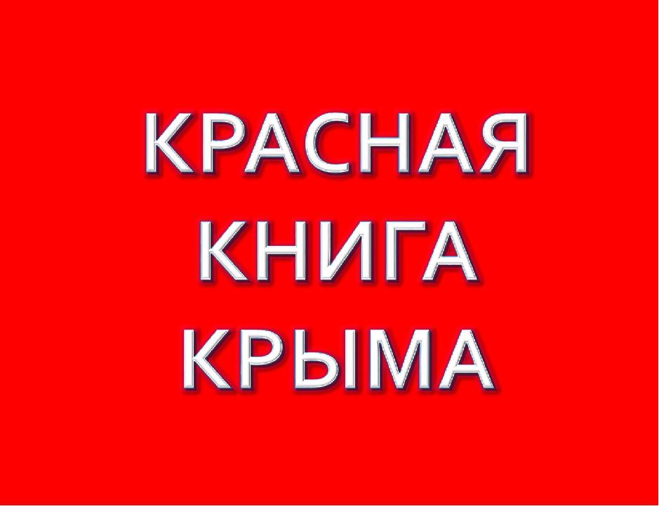 Проект красная книга крыма 2 класс окружающий мир