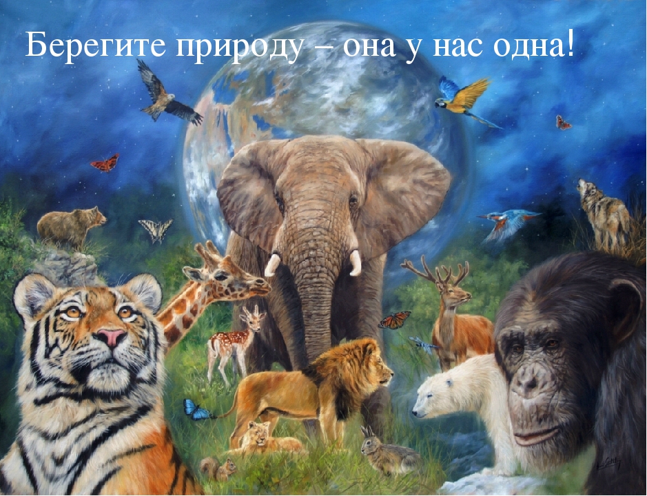 Презентация для дошкольников "Красная книга Крыма".