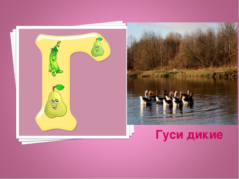 Презентация: Экоазбука Темрюкского района