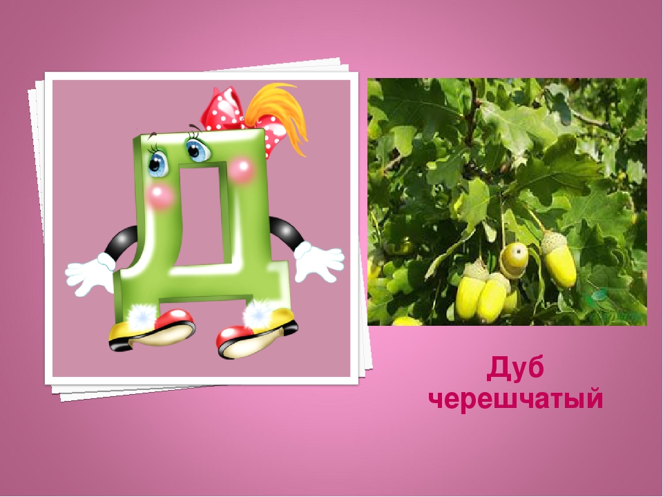 Презентация: Экоазбука Темрюкского района