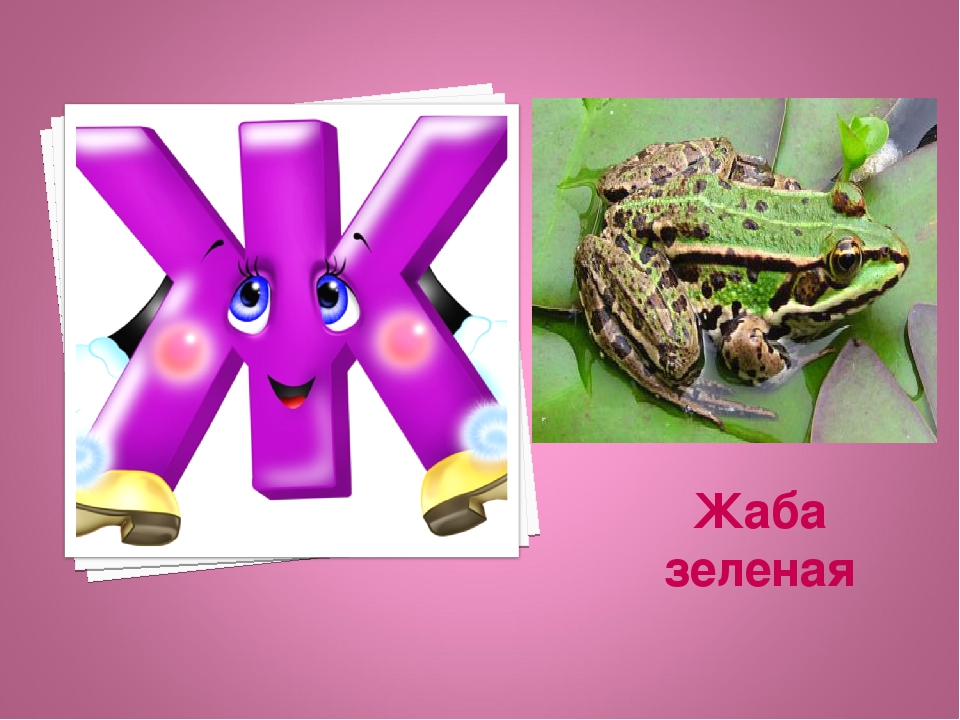 Презентация: Экоазбука Темрюкского района