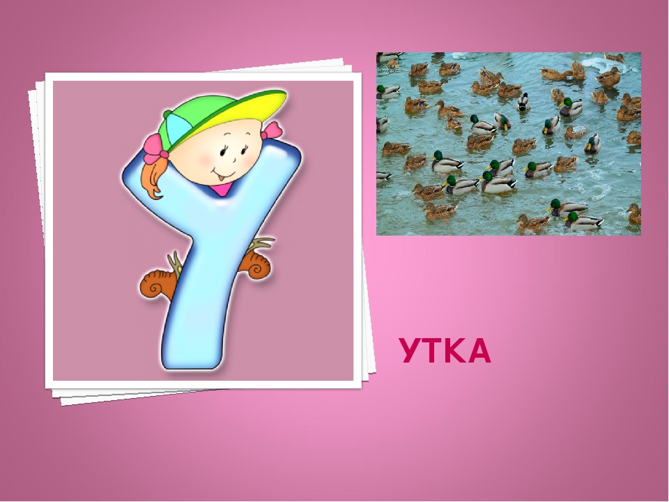 Презентация: Экоазбука Темрюкского района