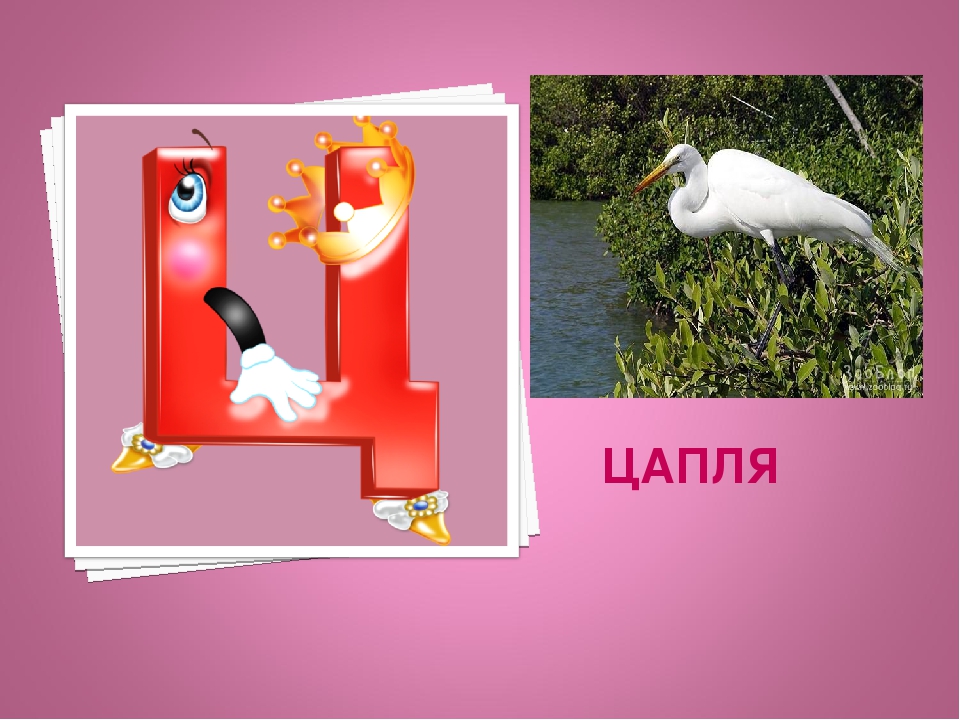 Презентация: Экоазбука Темрюкского района