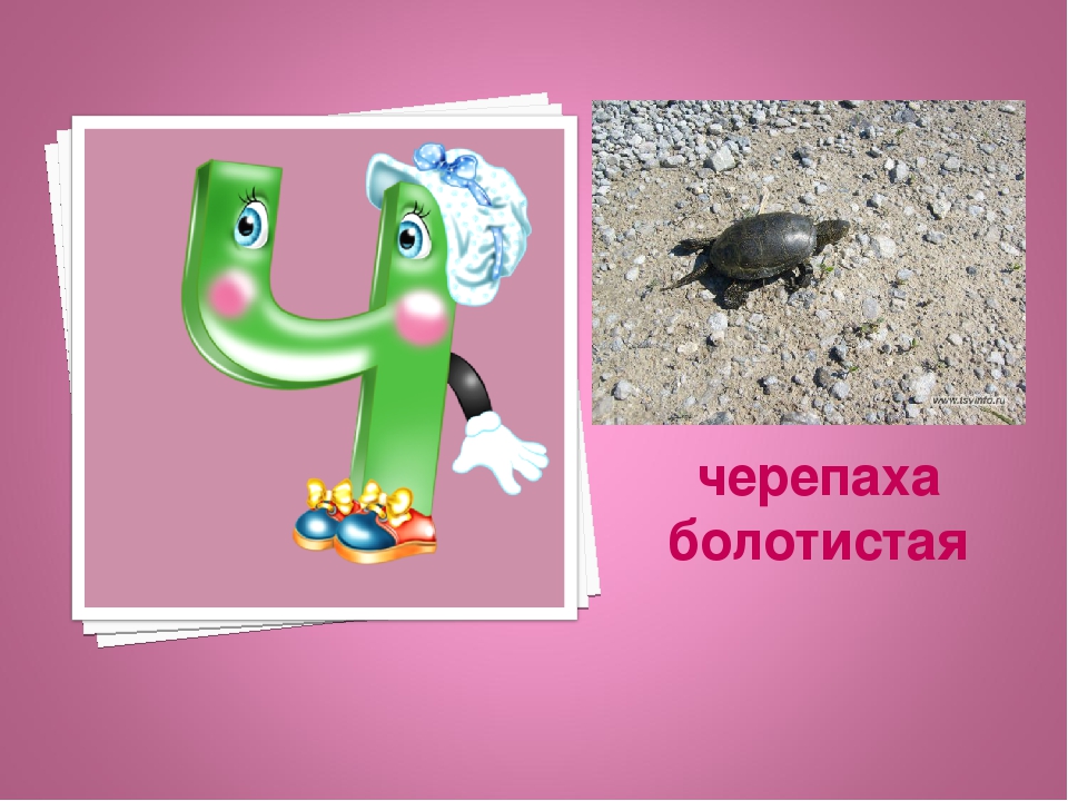 Презентация: Экоазбука Темрюкского района