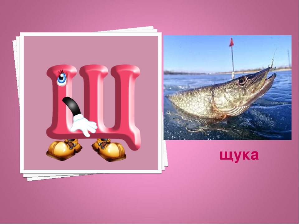 Презентация: Экоазбука Темрюкского района