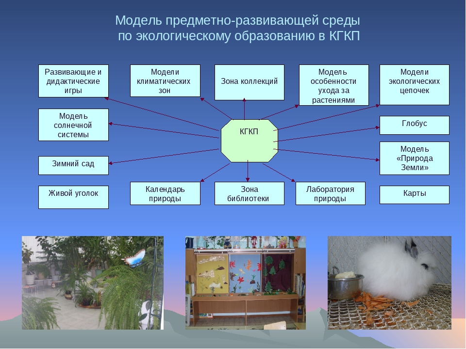 Формирования экологического воспитания у детей дошкольного возраста