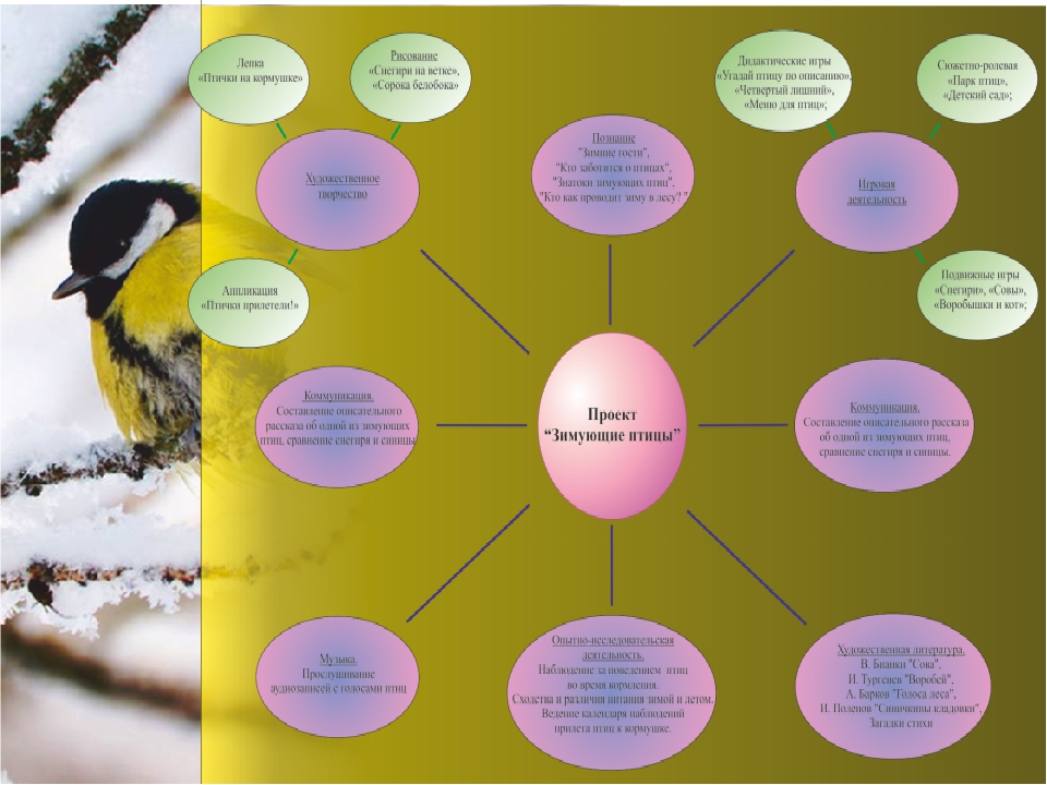 Презентация Проект " Зимующие птицы "