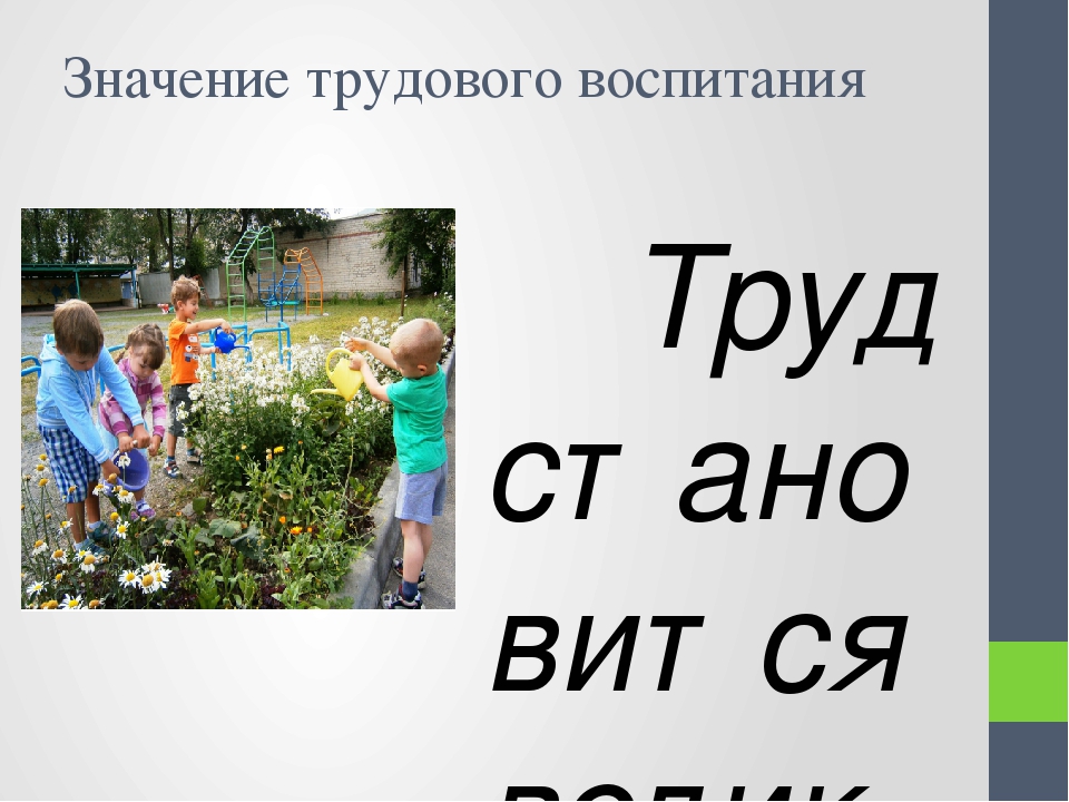 Презентация "Трудовое воспитание дошкольников в летний период"