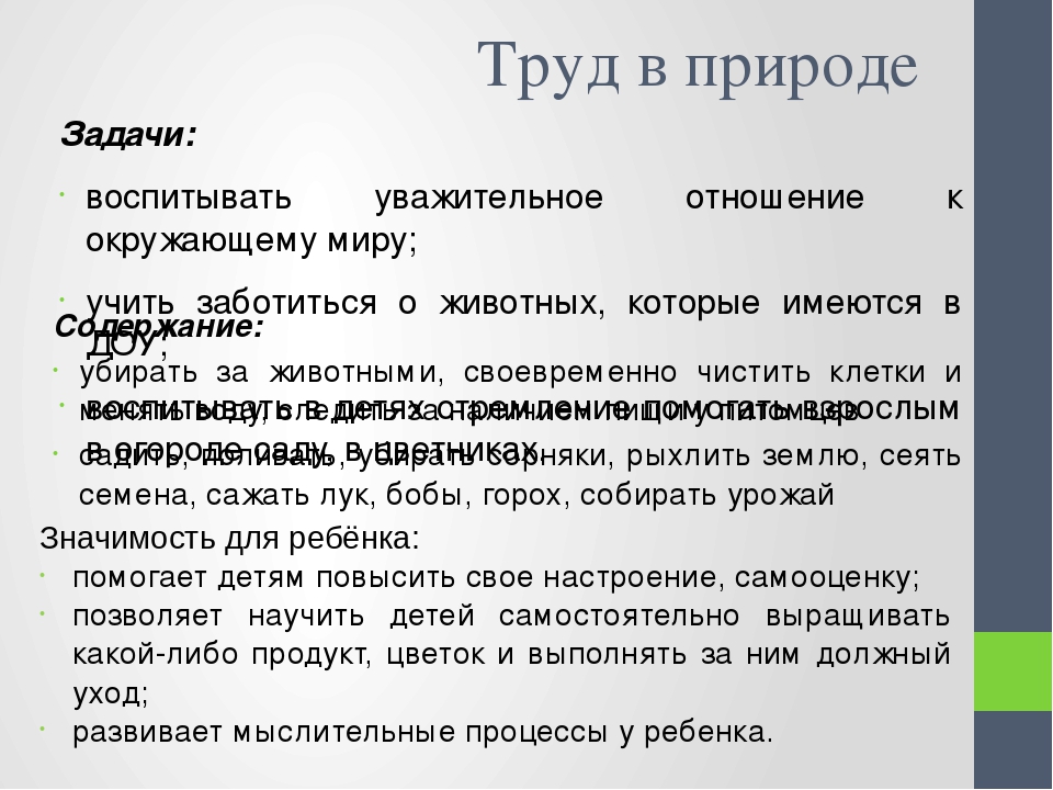 Презентация "Трудовое воспитание дошкольников в летний период"