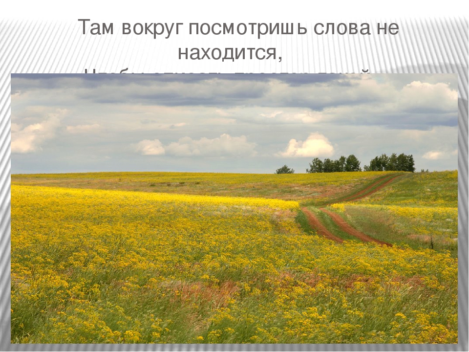 Презентация на тему: "Родной край-Саратовская область"