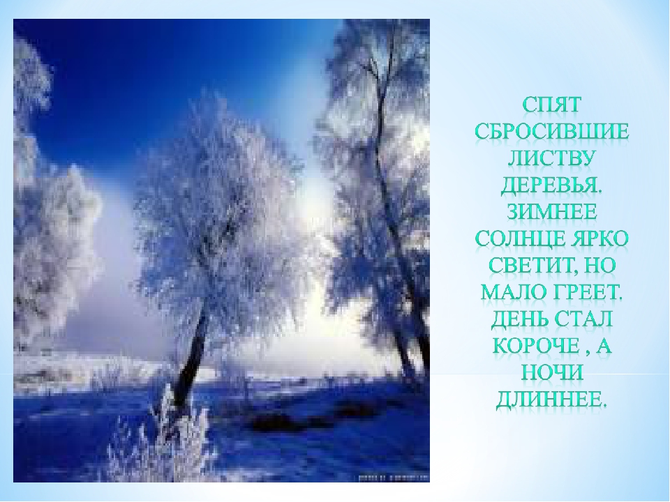 Презентация на тему "Зима".