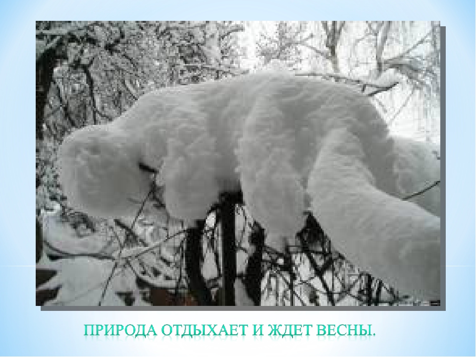 Презентация на тему "Зима".