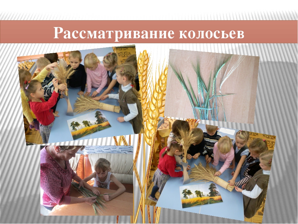 Презентация на тему "Хлеб - всему голова"