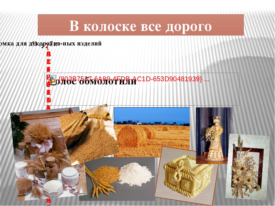 Презентация на тему "Хлеб - всему голова"
