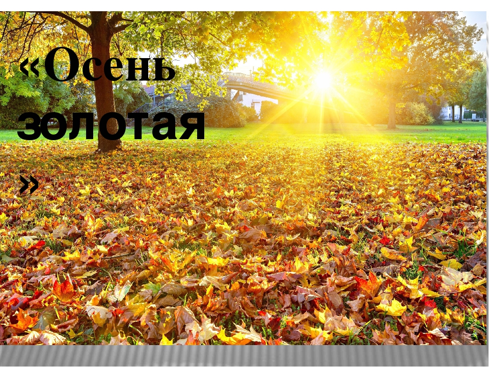 Презентация к НОД во второй младшей группе "Золотая осень"