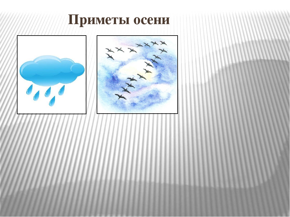Презентация к НОД во второй младшей группе "Золотая осень"