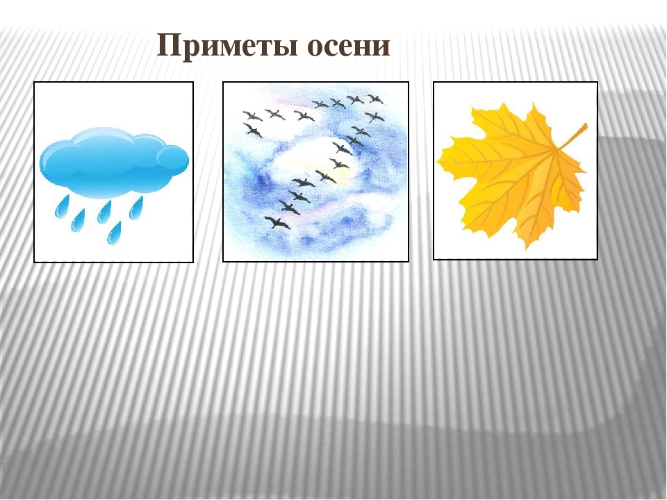 Презентация к НОД во второй младшей группе "Золотая осень"