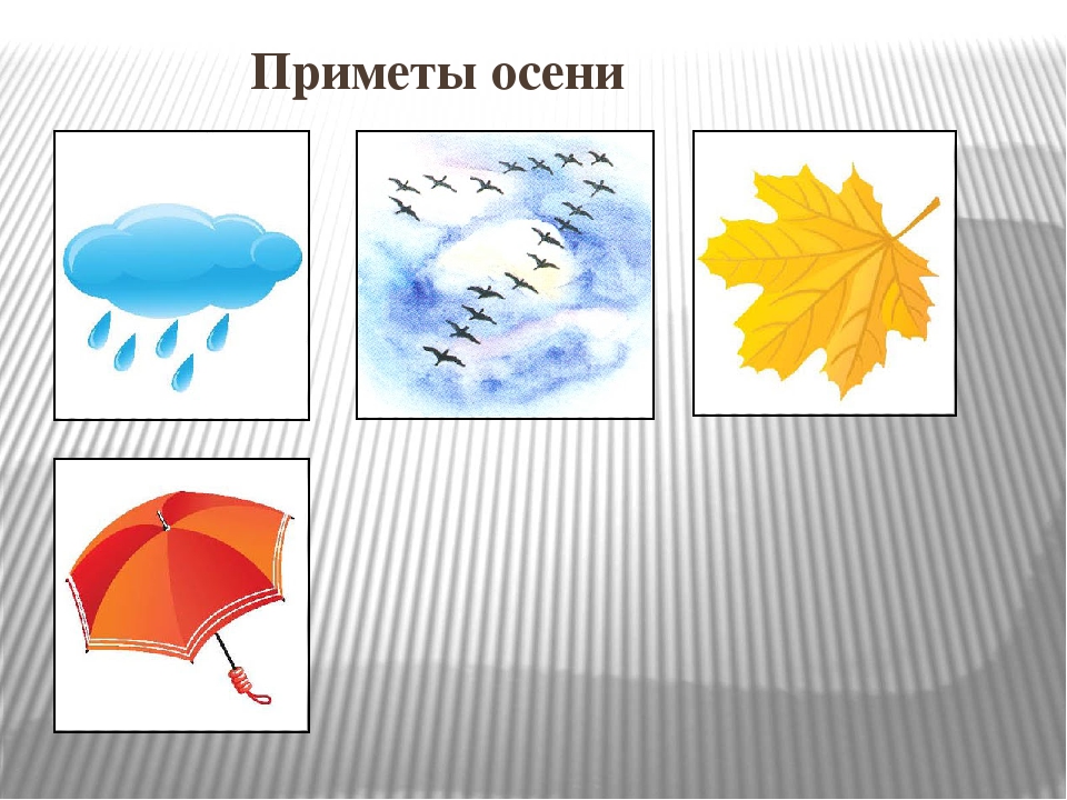 Приметы осени для детей. Приметы осени для дошкольников. Приметы осени картинки для детей. Карточки приметы осени. Осенние приметы для дошкольников.