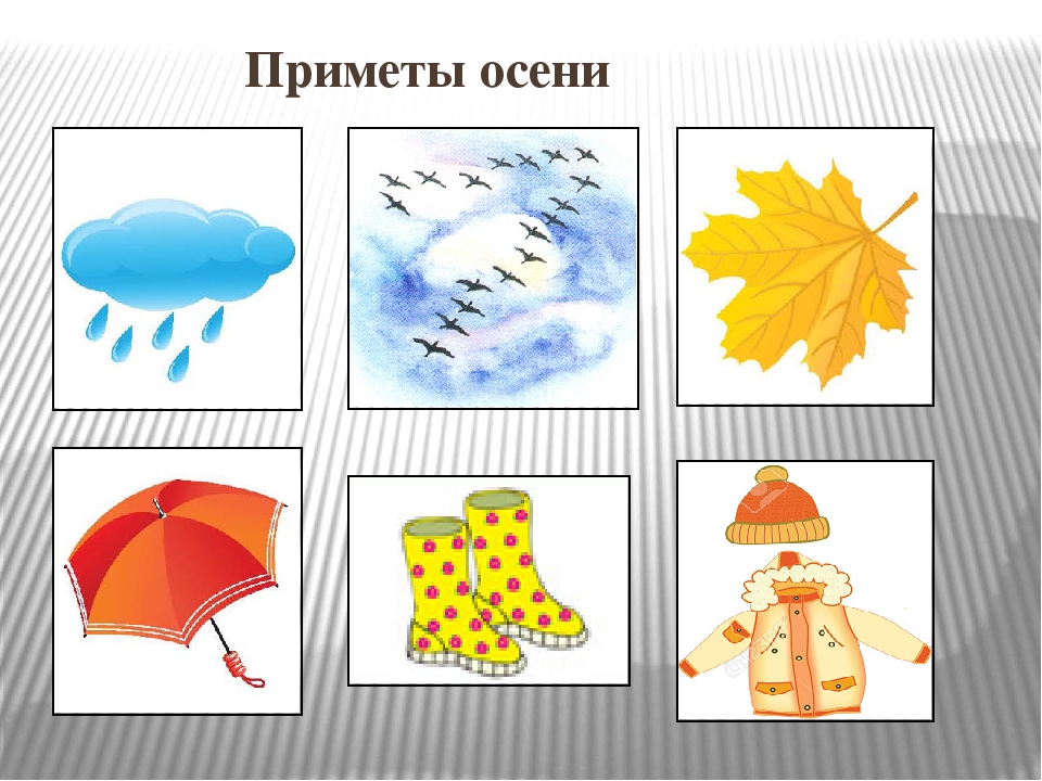 Презентация к НОД во второй младшей группе "Золотая осень"