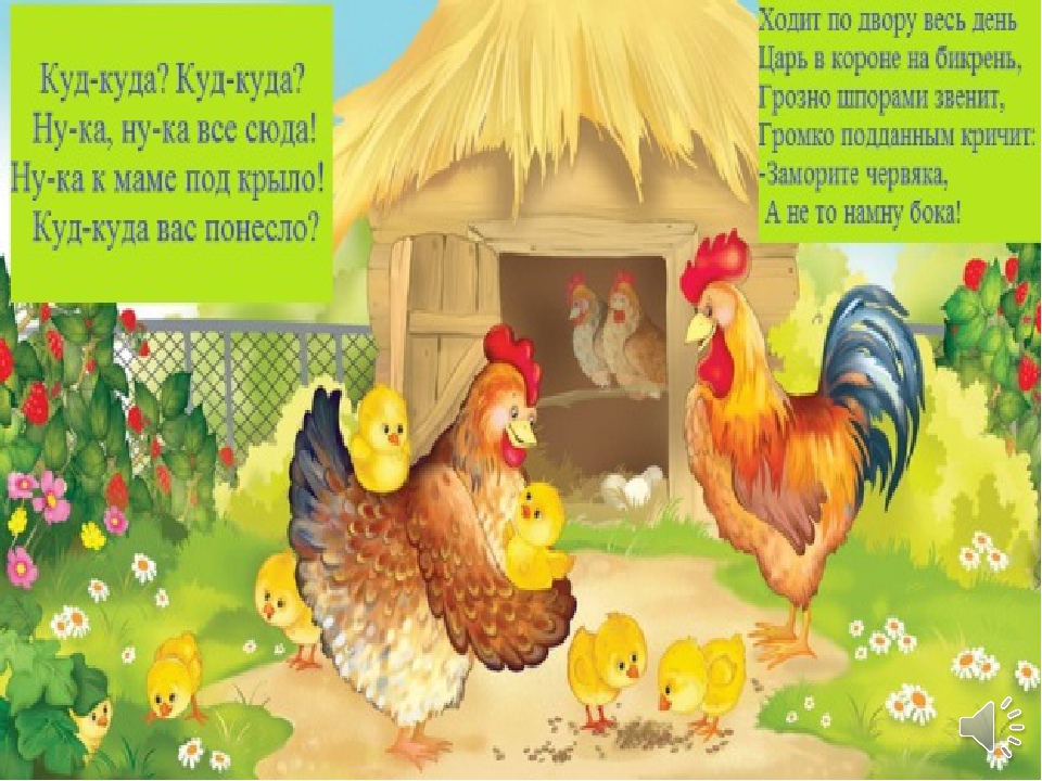 Дом домашние птицы. Занятие "Курочка и цыплята" Бондаренко. Курица с цыплятами. Курочка с цыплятами. Домашние птицы.