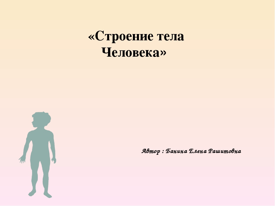 Шаблон для презентации по анатомии человека