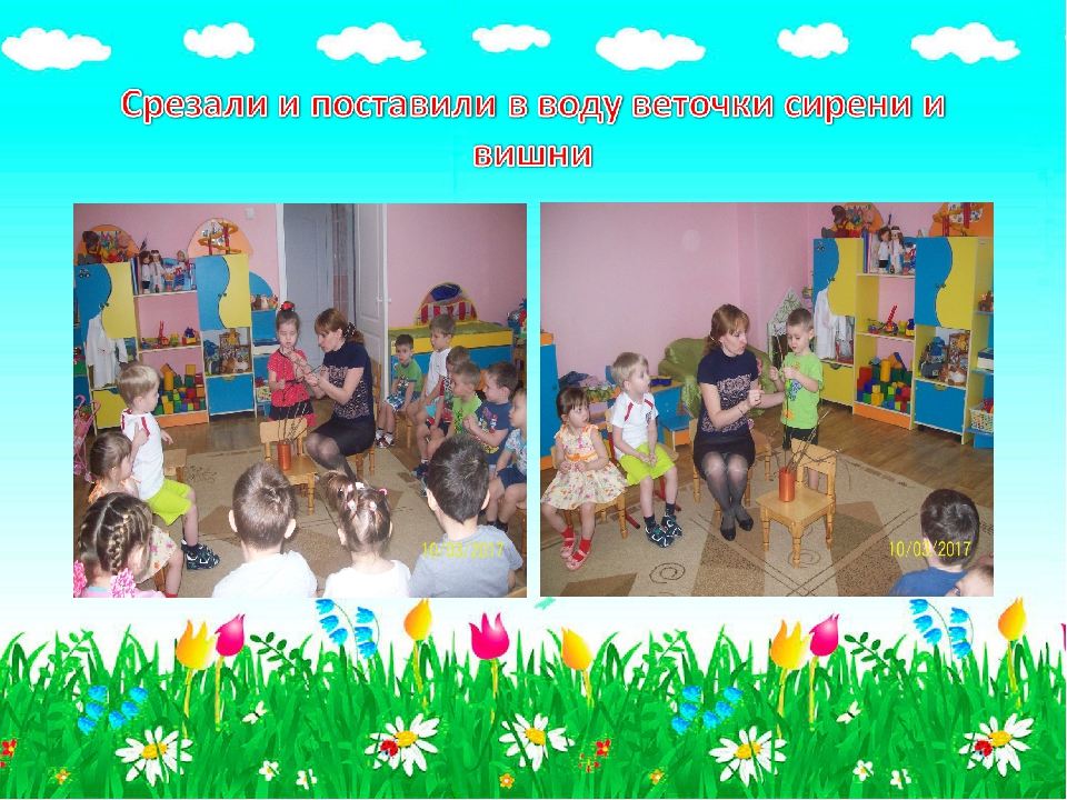 Презентация для детского сада "Огородик гномиков"