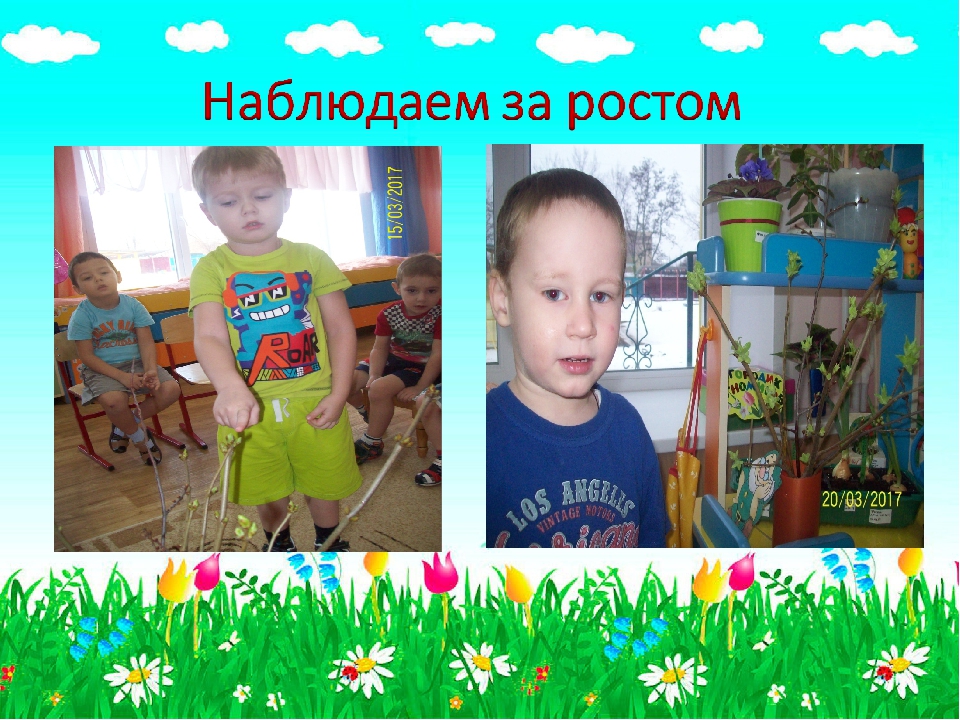 Презентация для детского сада "Огородик гномиков"