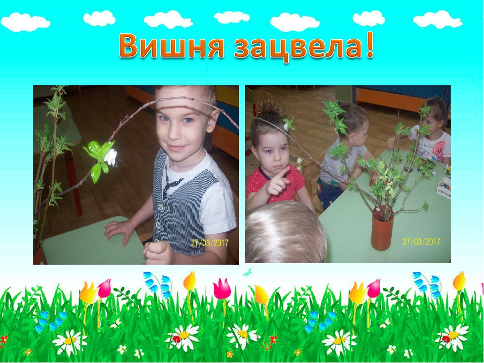 Презентация для детского сада "Огородик гномиков"