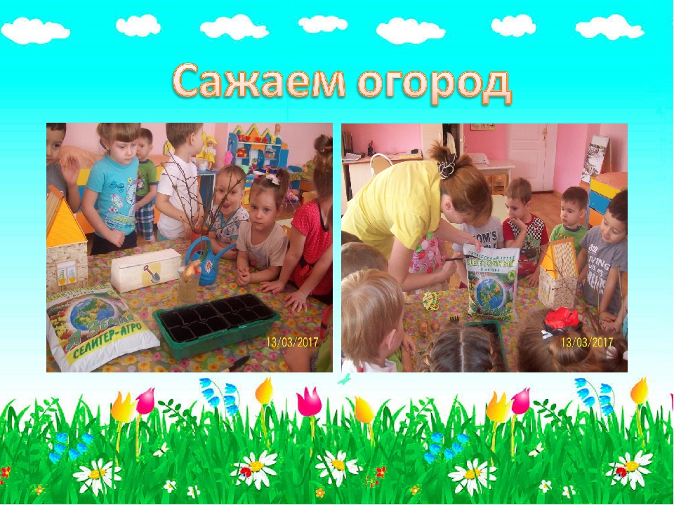 Презентация для детского сада "Огородик гномиков"