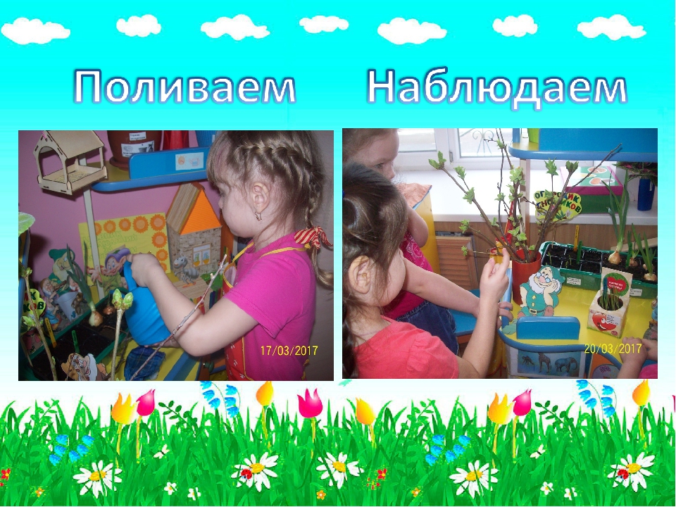 Презентация для детского сада "Огородик гномиков"