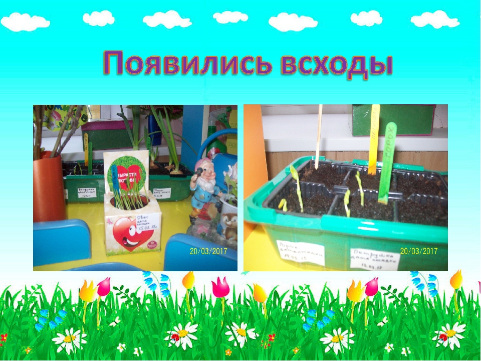 Презентация для детского сада "Огородик гномиков"