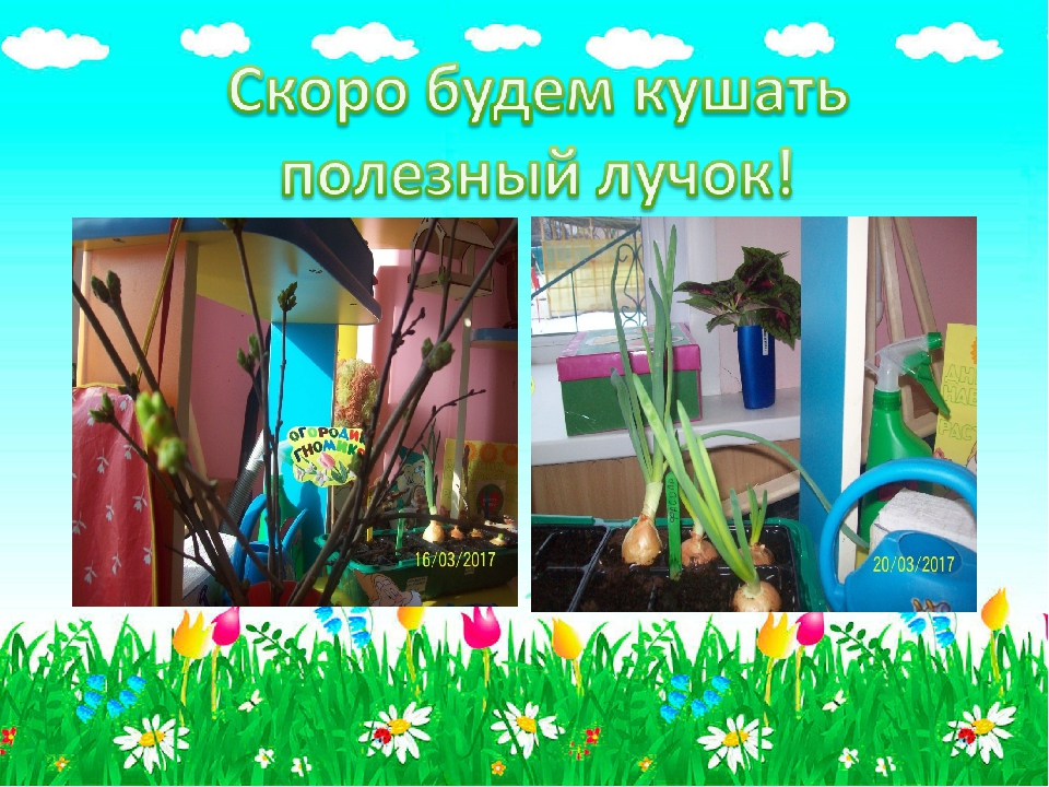 Презентация для детского сада "Огородик гномиков"
