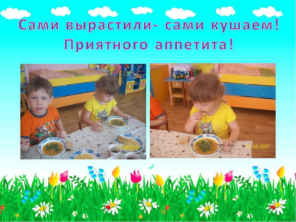 Презентация для детского сада "Огородик гномиков"