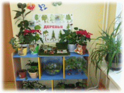 20161108_153541.jpg