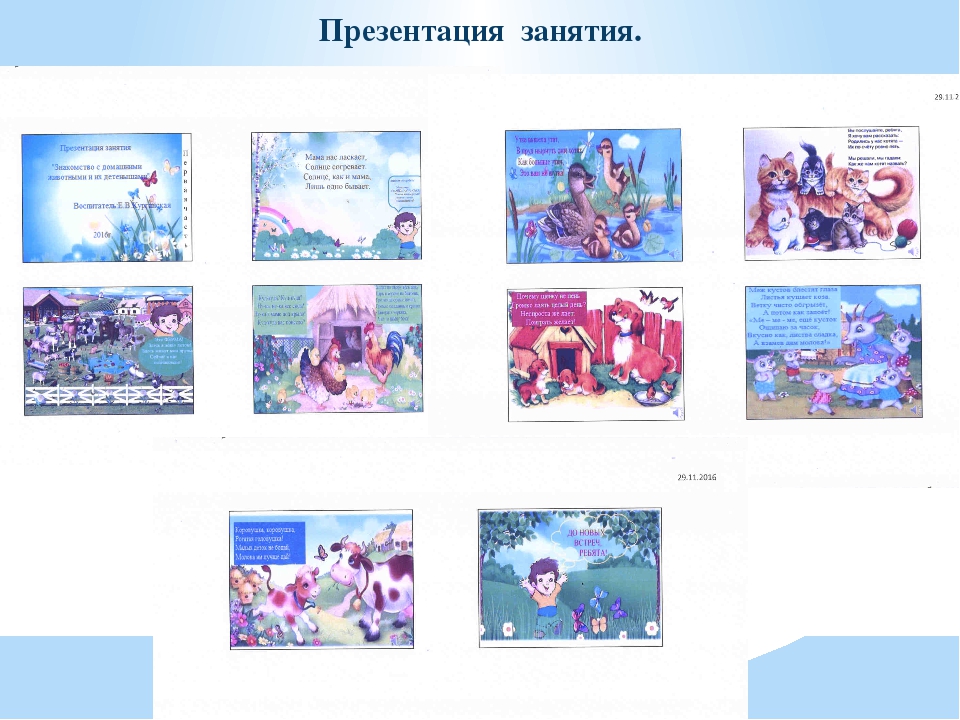 Консультация по оформлению профессионального партфолио для получения категории
