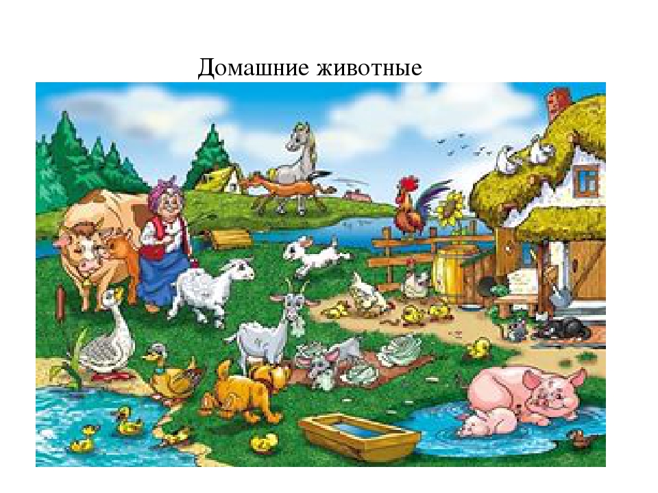 Презентация на тему "домашние животные" (во второй младшей группе)