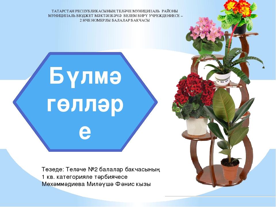 Интегрированная познавательная деятельность в старшей группе на тему: "Бүлмэ гөлләре"